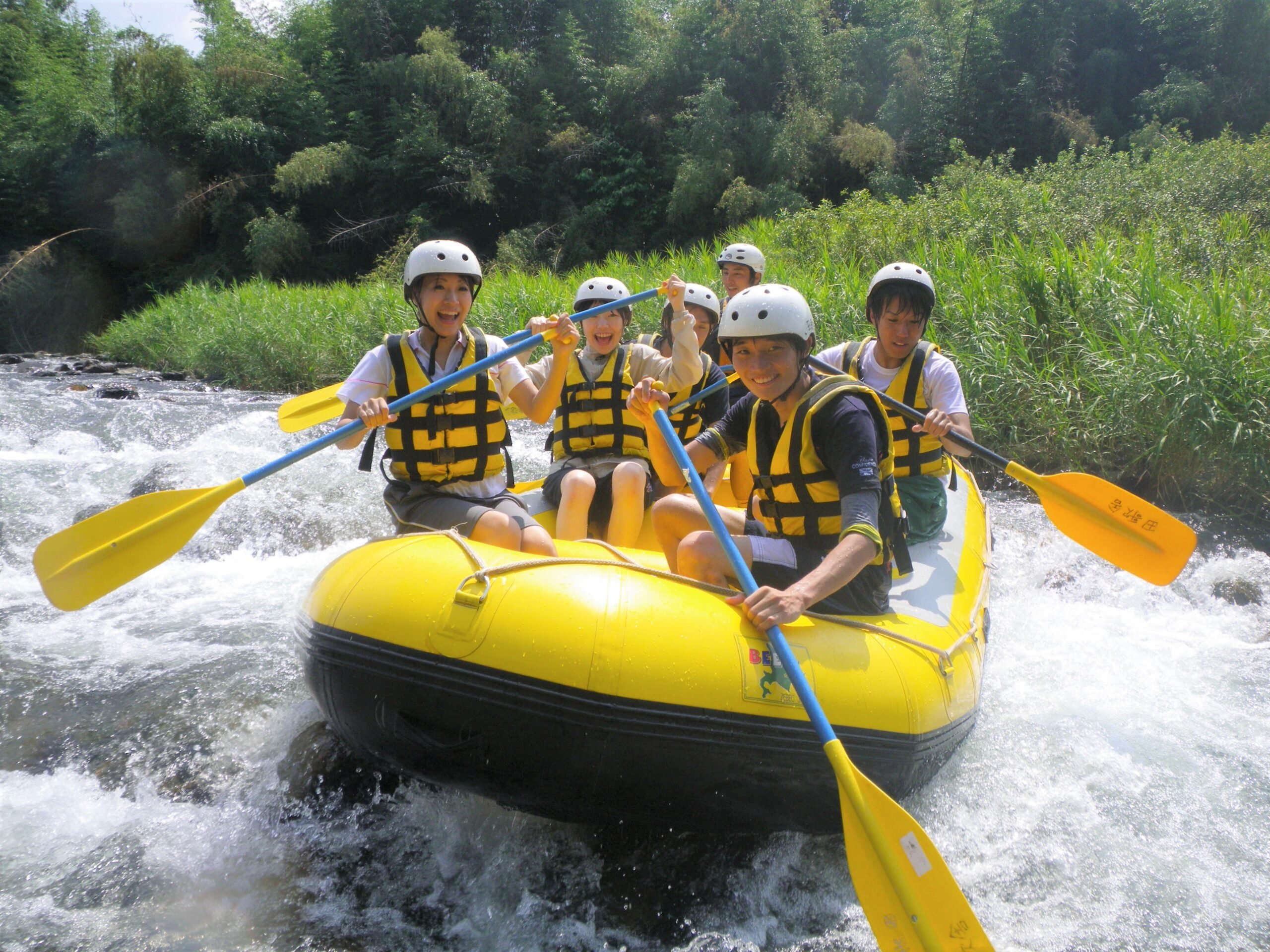 🏕️ 미야마초 자연문화촌 캠핑장(미야마초 시젠분카무라 캠프장) 이미지 5